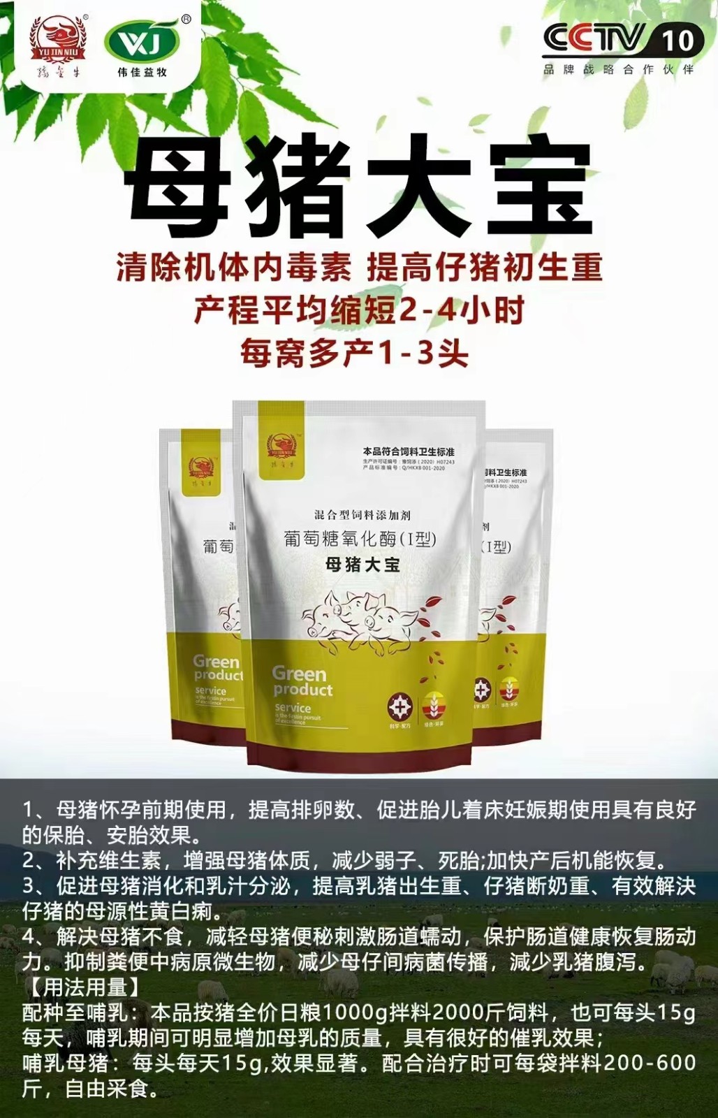 1670402282835019672.jpg 母猪大宝.jpg